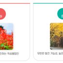 적성융합고등학교 이미지