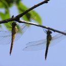 쑥고개길 이미지