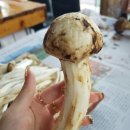 고시레 이미지