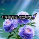 백년여행