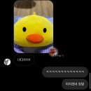 나비와 고양이