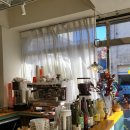 셀로나(Celona) 이미지