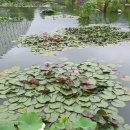 김영부동산공인중개사사무소 이미지