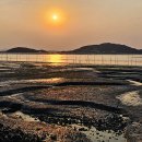 퍼플 - 세종특별자치시 새내로 125 | 퍼플