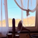 대한농장 | 고흥 카페 추천, 허허벌판 뷰인데 왜 좋지? 커피농장 산티아고 본점 K-커피맛집 후기