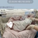 별나래배움터 | 제왕절개를 선택한 산모의 임산부요가 &amp; 후기