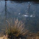 장다리천 이미지