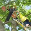 성수초등학교 이미지