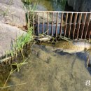 수질복원센터 이미지