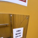 젤라뷰티