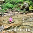 그늘막125 | 서울 시내 계곡 관악산 신림계곡 물놀이장 가는 법 강아지 배달 취사 정보 &amp; 아이와 물놀이 후기