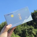 연세약국 | 약국추천 연세청혈책 내돈내산 후기입니다