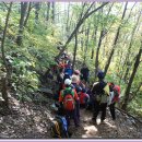 증산초교 이미지