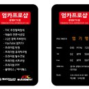 듀라오토 | 듀라워크 체스트패널 구입후기