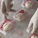 개슈(GAESHU) 이미지