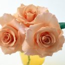 아기세상어린이집 이미지