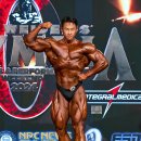 현대보디빌딩 이미지