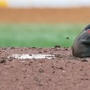 "계속 미끄럽다더라"...4승 LG 톨허스트의 5실점 부진은 '고척돔' 마운드 발판 때문? 이미지