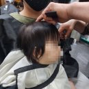 새싹미용실 | [돌잔치④] 돌 전 아기랑 미용실 가기! 새싹이 첫 커트 후기 & 꿀팁