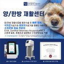 본동물메디컬센터 24시수성점 이미지