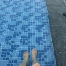 기장 아난티앳부산코브 숙박후기 | 매년가도 너무좋은곳 해안산책 휴식힐링여행 워터하우스