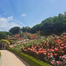 부천-오정-부천-7호 이미지