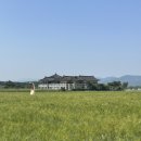 분황사주차장 | 부산근교 달일치기 경주여행 분황사 청보리 첨성대 양귀비 대릉원 오릉 이팝나무