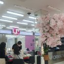 태화밧데리 | 울산 휴대폰성지 여기다 태화점 방문기! 출시 한 달 된 버디5 효도폰 개통하고 온 솔직 후기