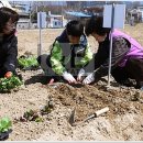 왕곡농장 이미지