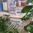 돌고래마취통증의학과의원 | [병원/금정구] 원인 모르게 어르신들 아프실 때 좋은 통증의학과 추천 - 돌고래 통증의학과