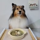 까다롭개 이미지
