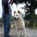 입석농장 이미지