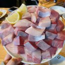 사람과 자연 | [❤️소개팅후기] 테토녀가 이상형인 사람과 소개팅한 후기 2