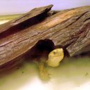 아쿠아PC방 이미지