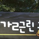 숲사랑유치원 이미지