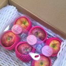 버터멍 | 쿠팡 사과 추천 로켓프레시 마이핏 사과 후기 (with 그릭요거트 땅콩버터)