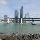 대교풍천민물장어 이미지