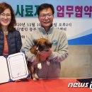 두나펫 코리아 뉴스1