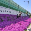 우연히 찾아간 천안 업성동 커피집 이미지