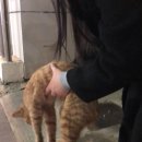 감정에는 효율을 따질 수 없다