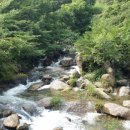 농산민박 이미지