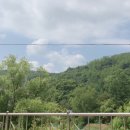 코리안목장 이미지