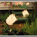 배내허브랜드 이미지