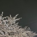 컴포즈커피군산오식도점