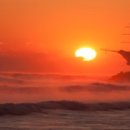 영남 행정사사무소 이미지