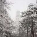 메이필드호텔 이미지