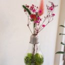 복대초교 이미지