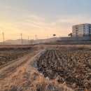 발안천 산책로 이미지