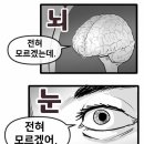 멍피스 이미지