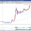 엔케이코퍼레이션 이미지